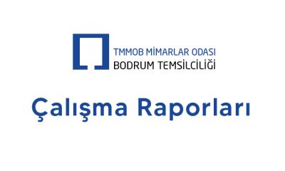 29. Dönem Çalışma Raporu